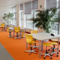 Stadtgymnasium goes Jungle!